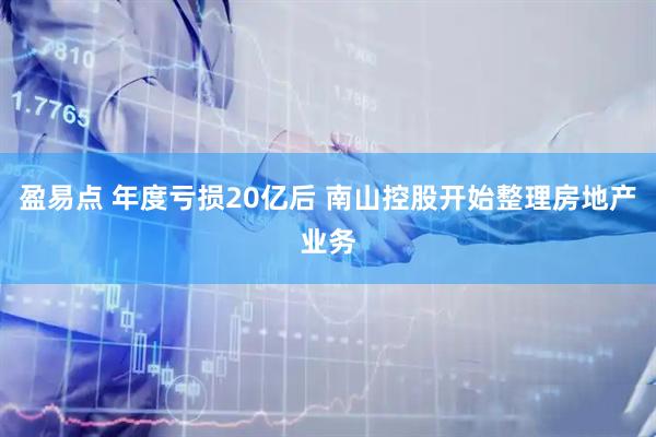 盈易点 年度亏损20亿后 南山控股开始整理房地产业务