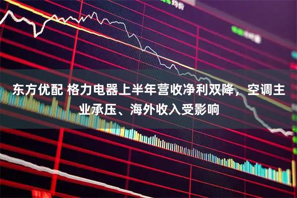 东方优配 格力电器上半年营收净利双降，空调主业承压、海外收入受影响